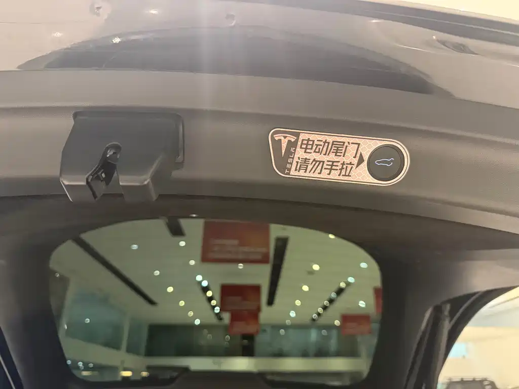 Tesla Model Y — фото 11