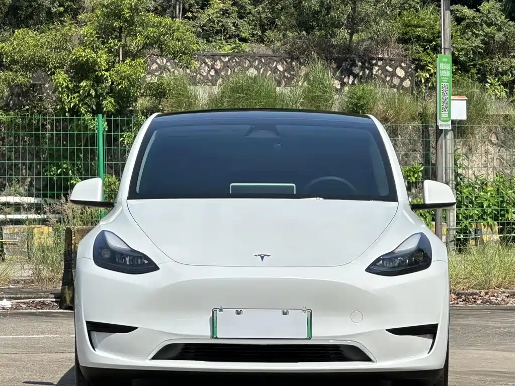 Tesla Model Y — фото 2