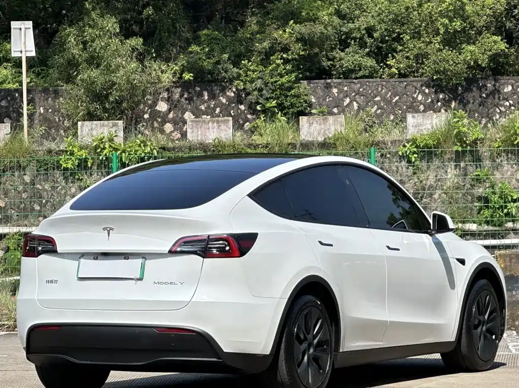Tesla Model Y — фото 14