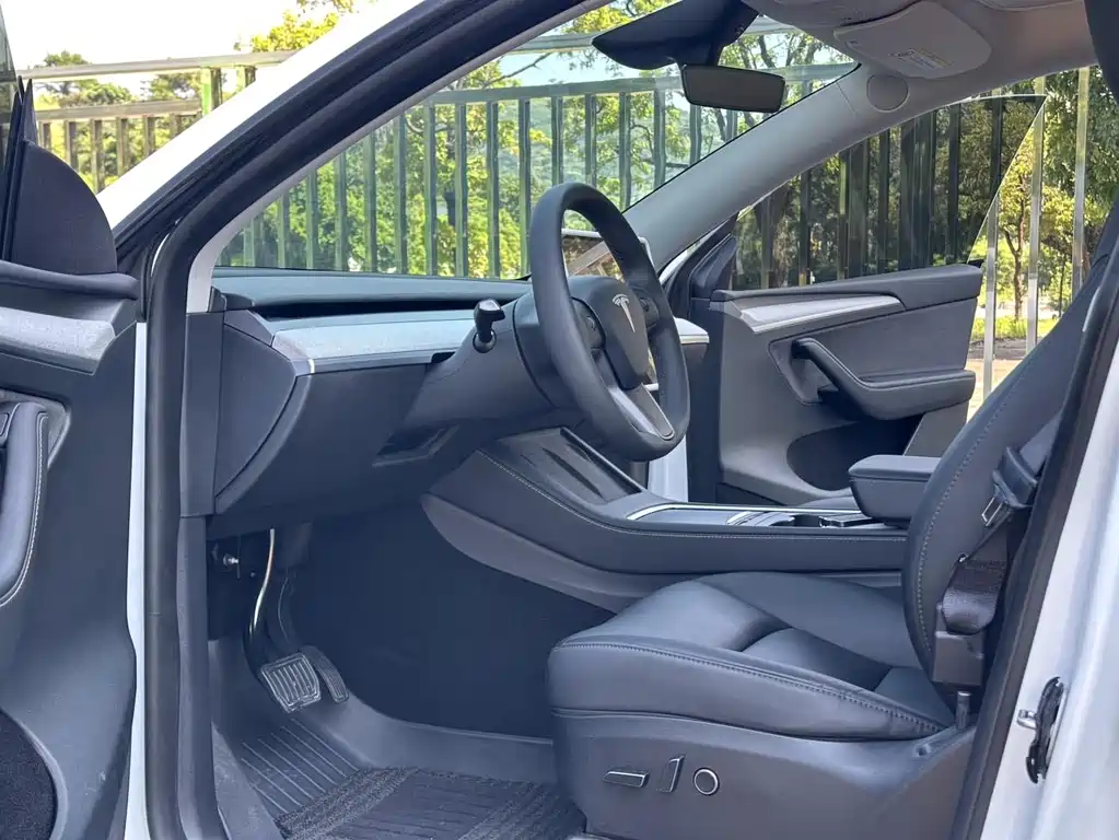 Tesla Model Y — фото 6