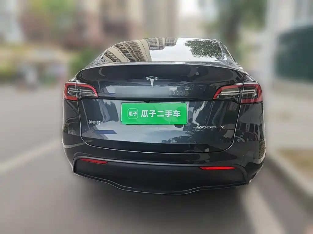 Tesla Model Y — фото 3