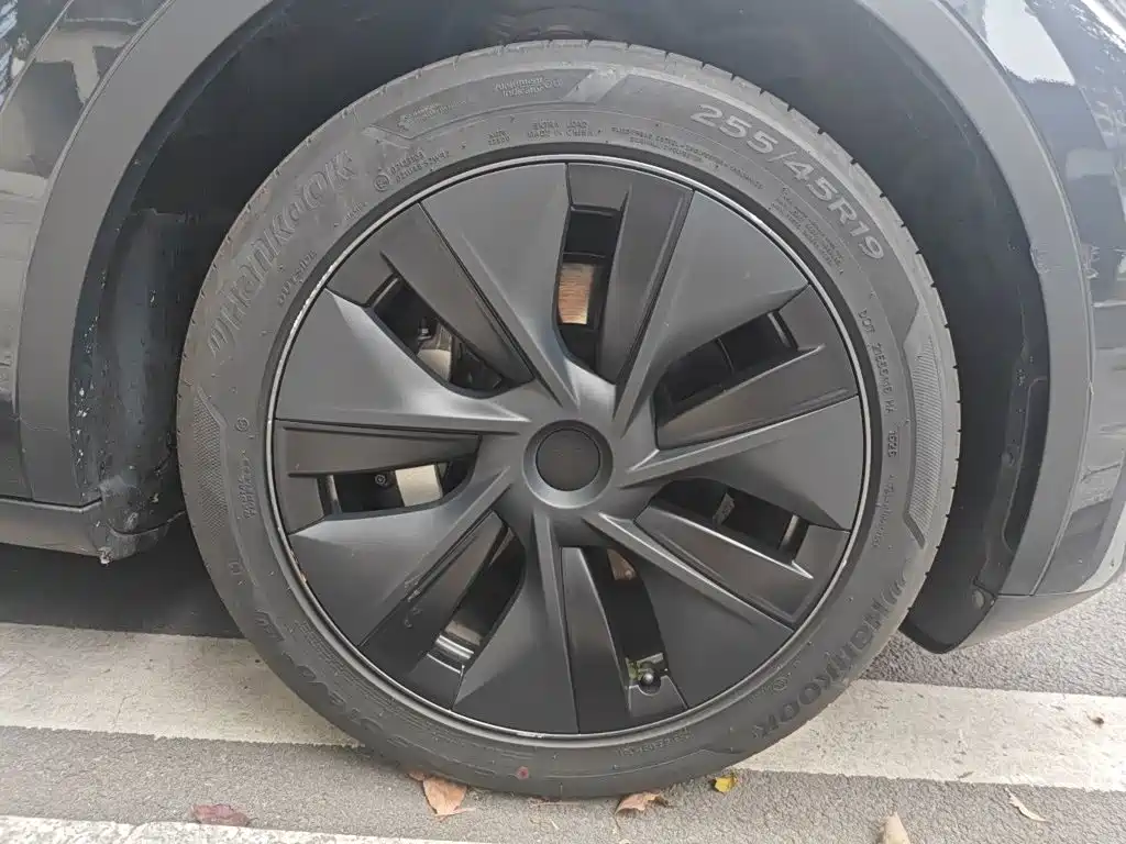 Tesla Model Y — фото 25
