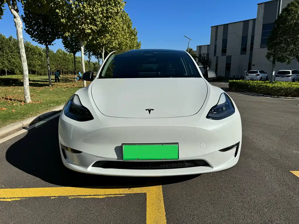 Tesla Model Y — фото 2