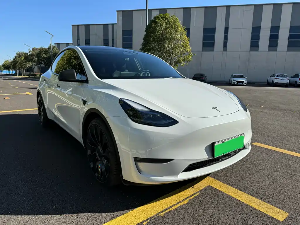Tesla Model Y — фото 3