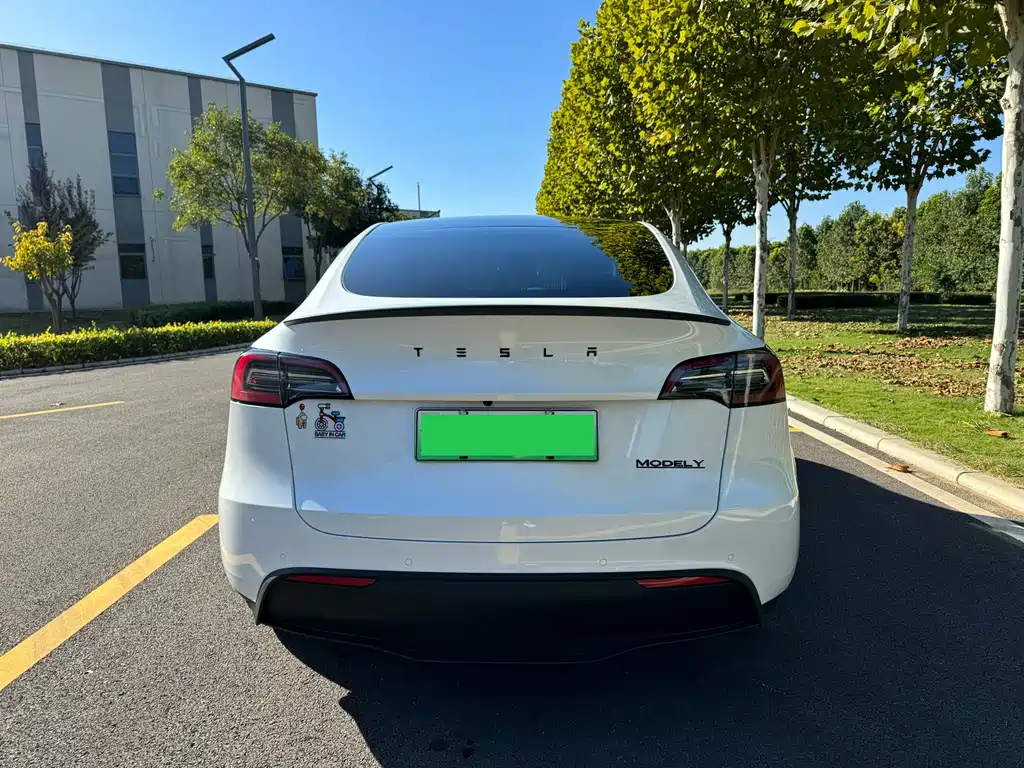 Tesla Model Y — фото 5