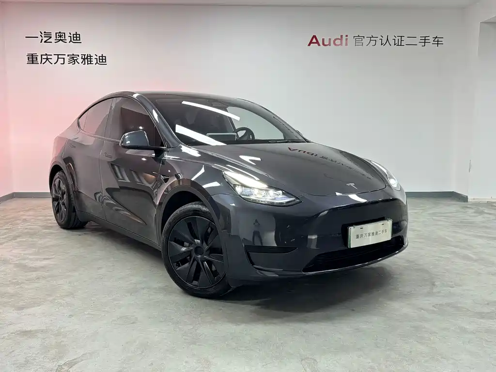 Tesla Model Y — фото 2