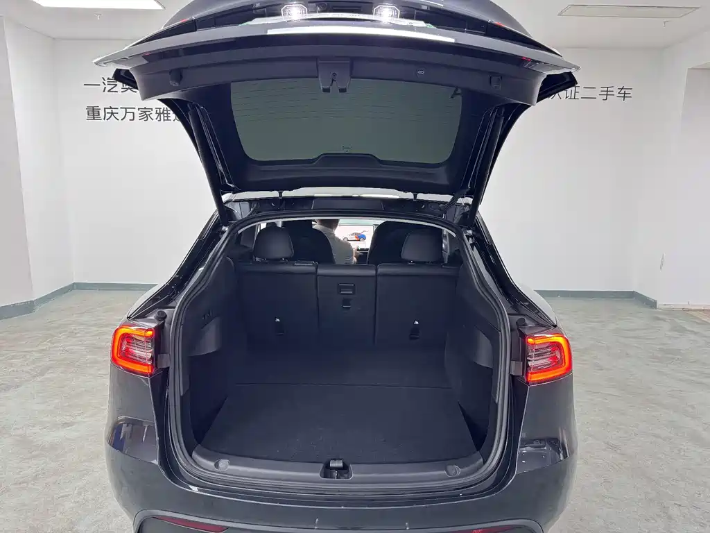 Tesla Model Y — фото 18