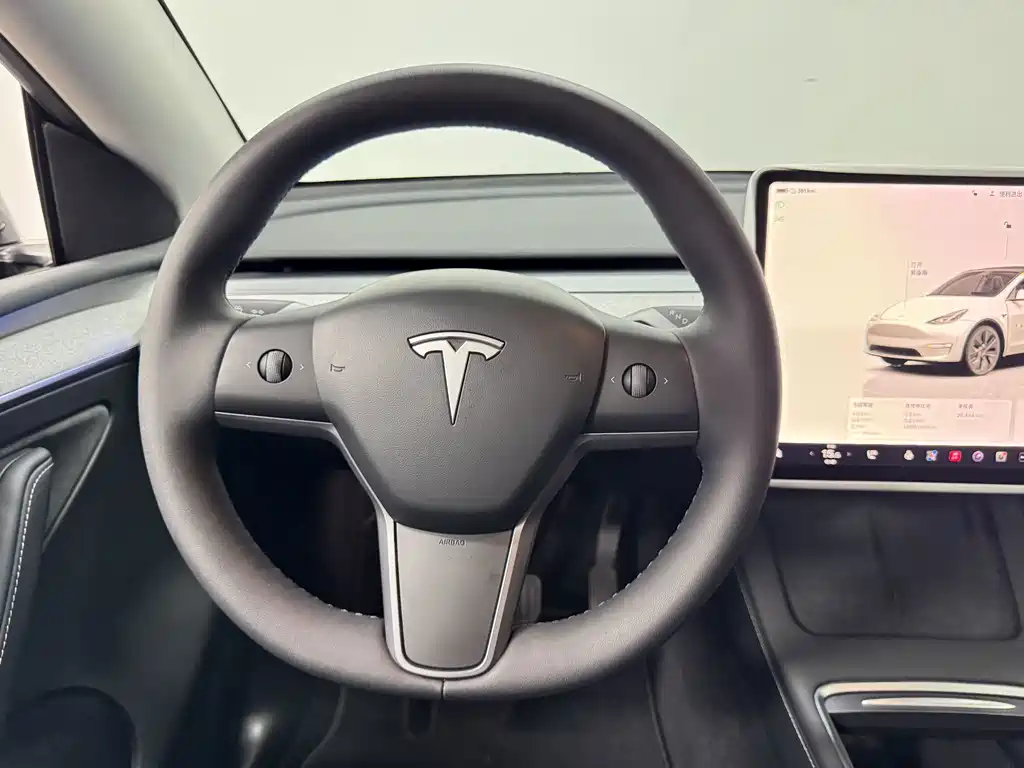 Tesla Model Y — фото 10