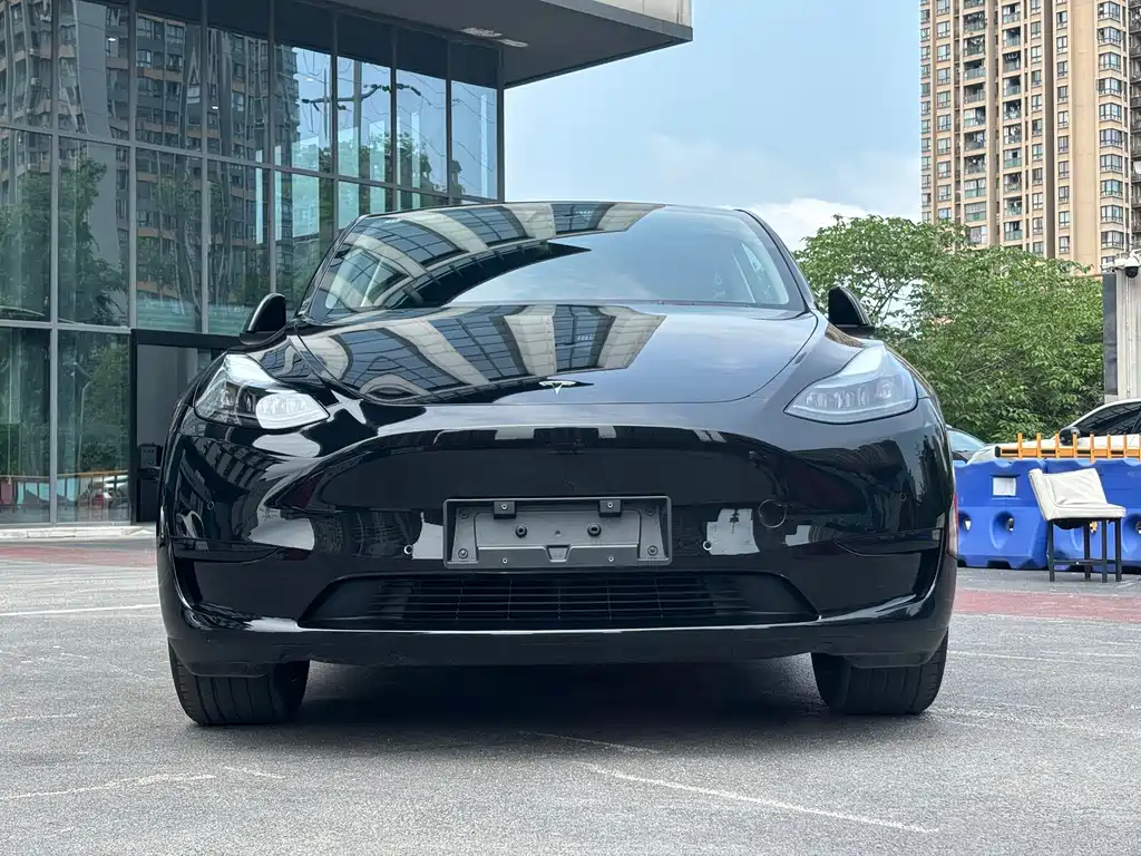 Tesla Model Y — фото 2