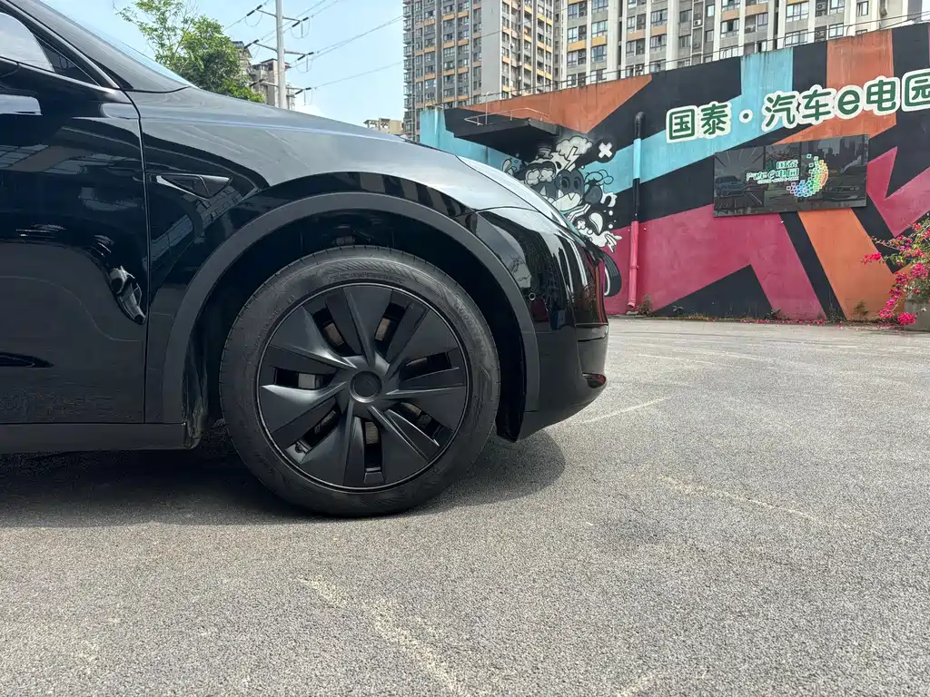 Tesla Model Y — фото 15