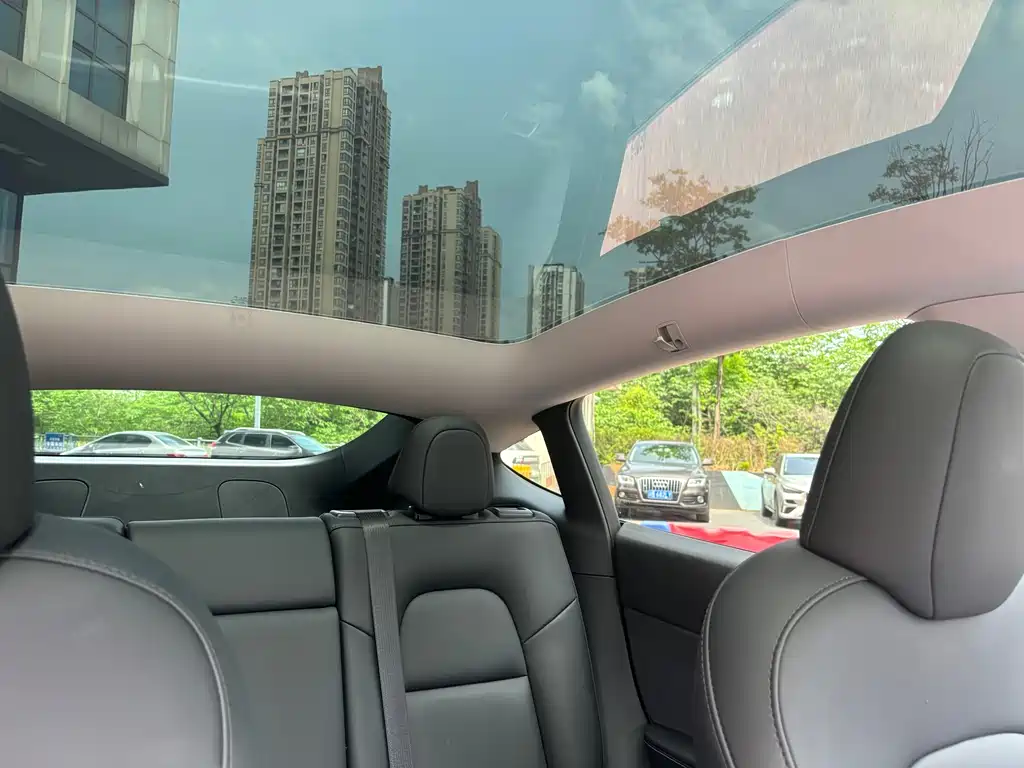 Tesla Model Y — фото 18