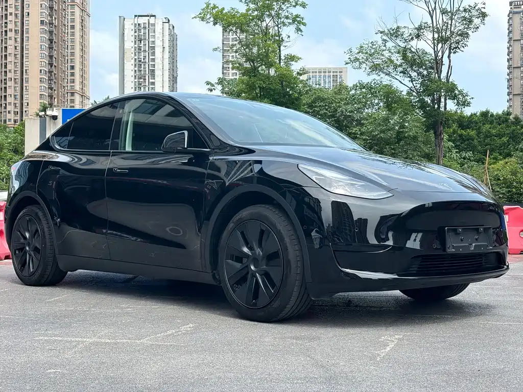 Tesla Model Y — фото 3