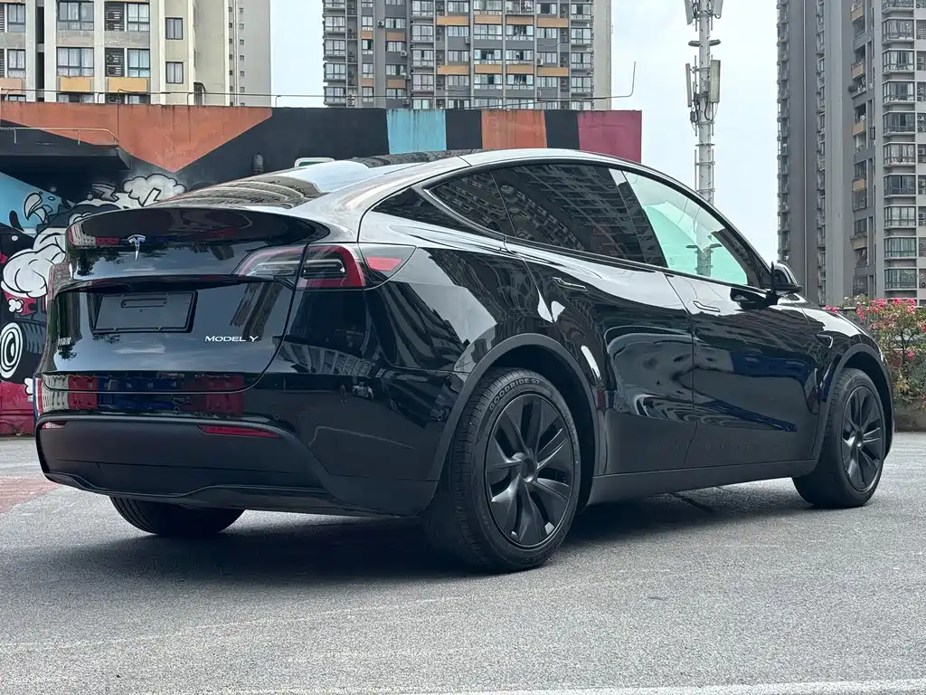 Tesla Model Y — фото 4