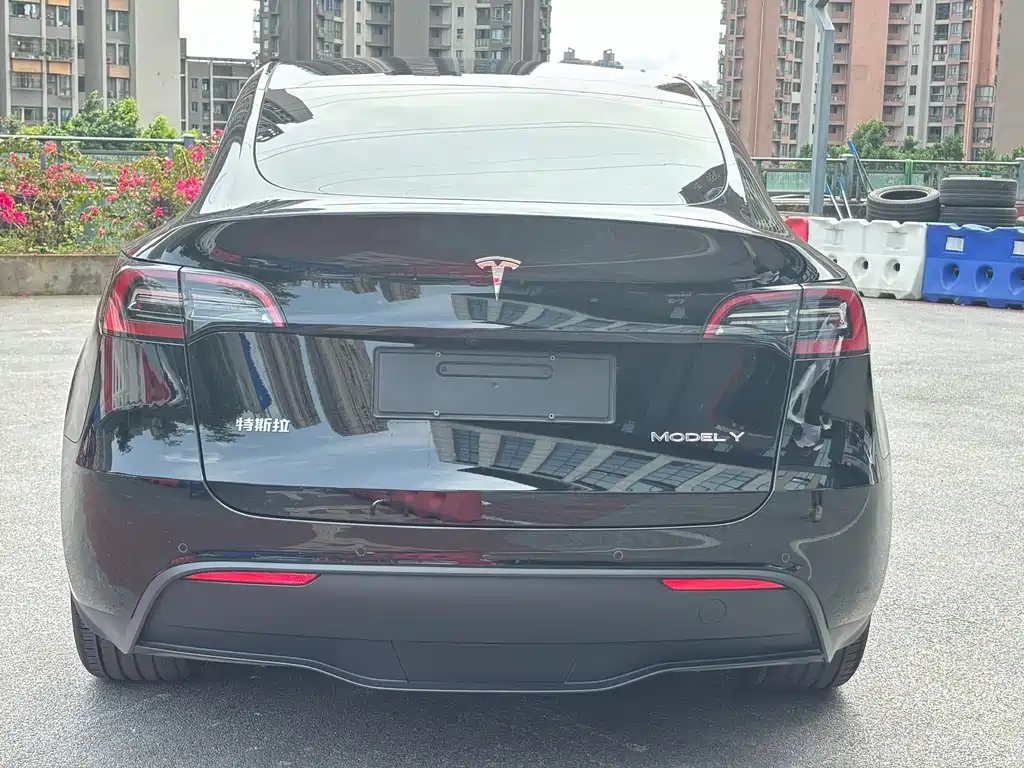 Tesla Model Y — фото 5