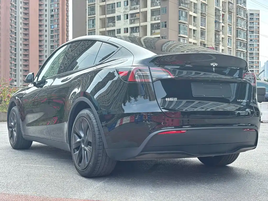 Tesla Model Y — фото 6