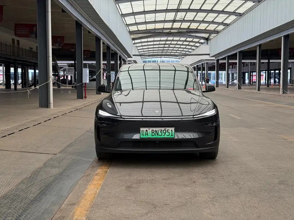 Tesla Model Y — фото 2