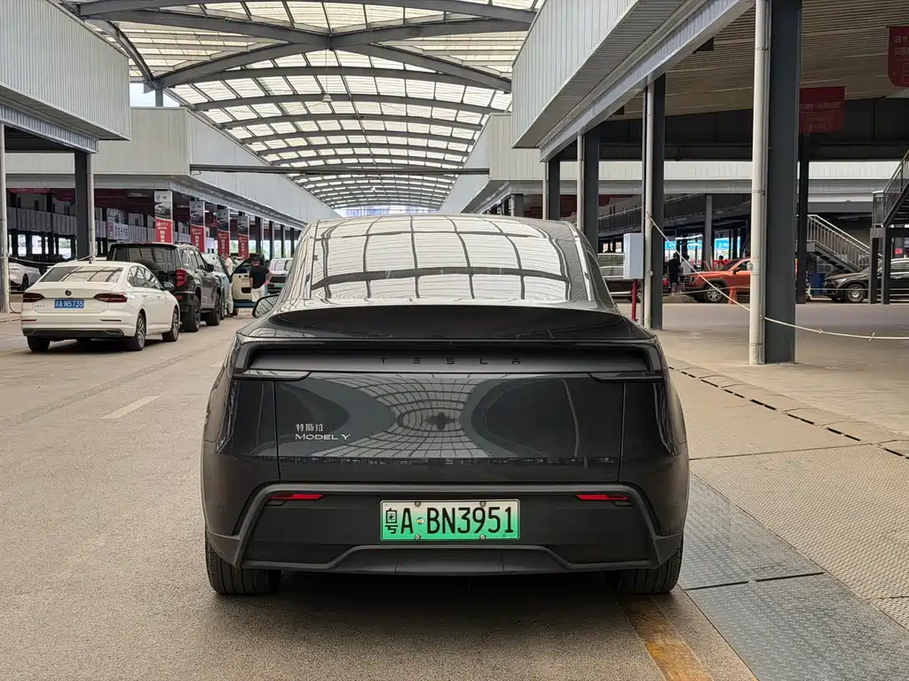 Tesla Model Y — фото 11