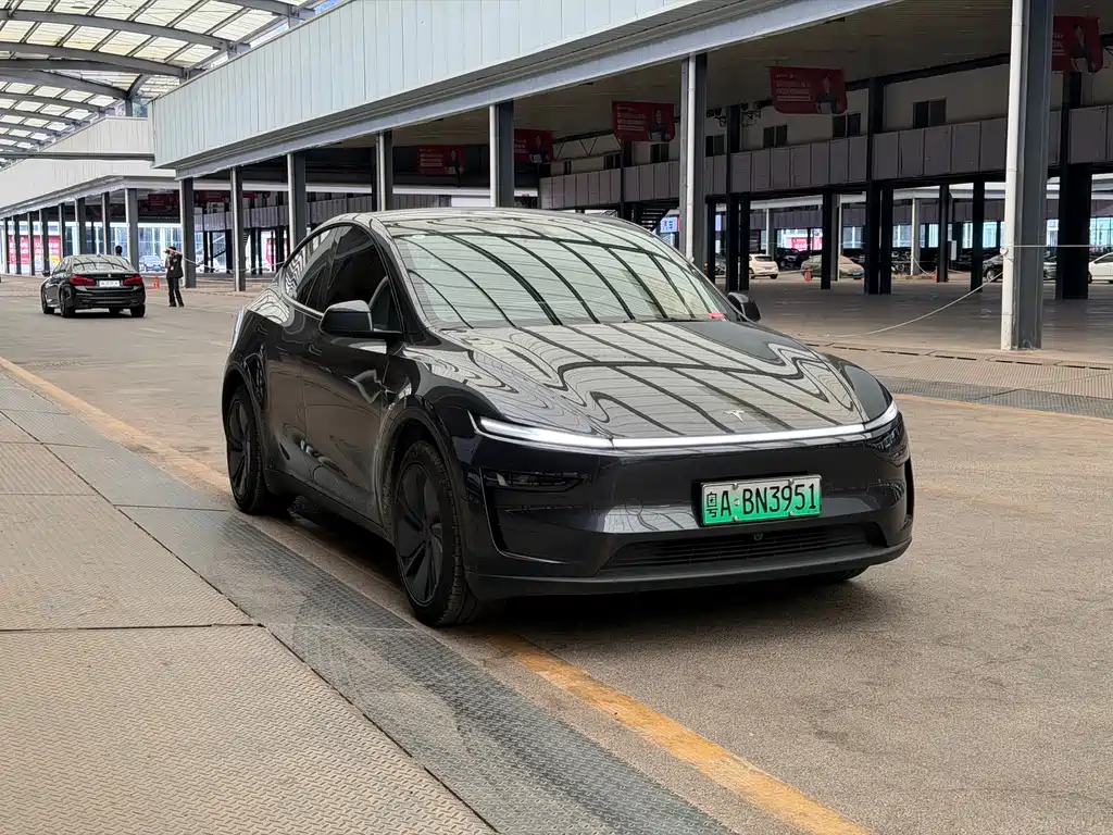 Tesla Model Y — фото 3