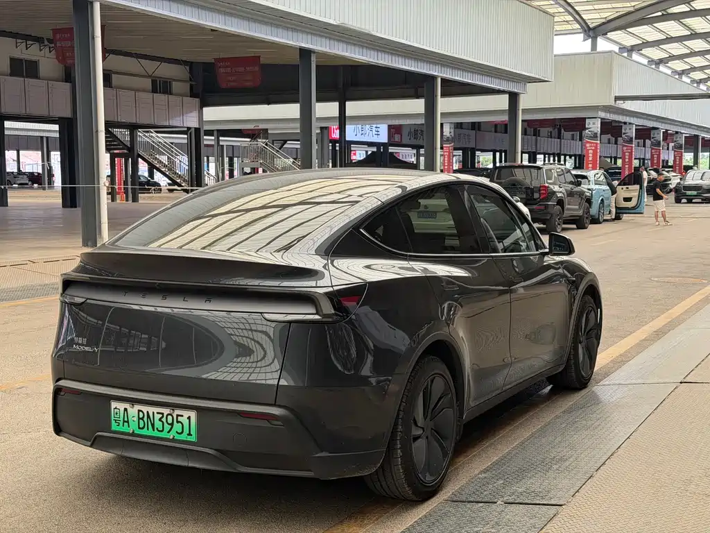 Tesla Model Y — фото 10