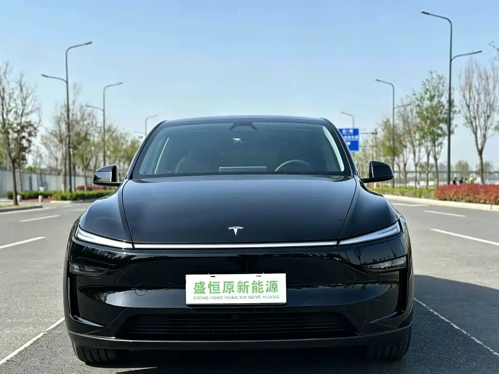 Tesla Model Y — фото 2