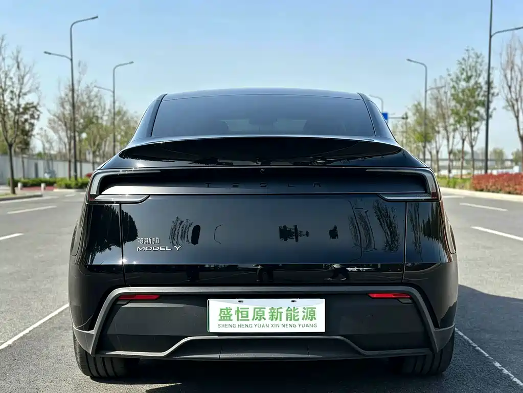 Tesla Model Y — фото 3