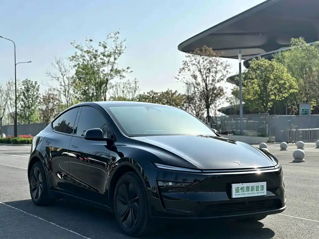 Tesla Model Y — фото 4