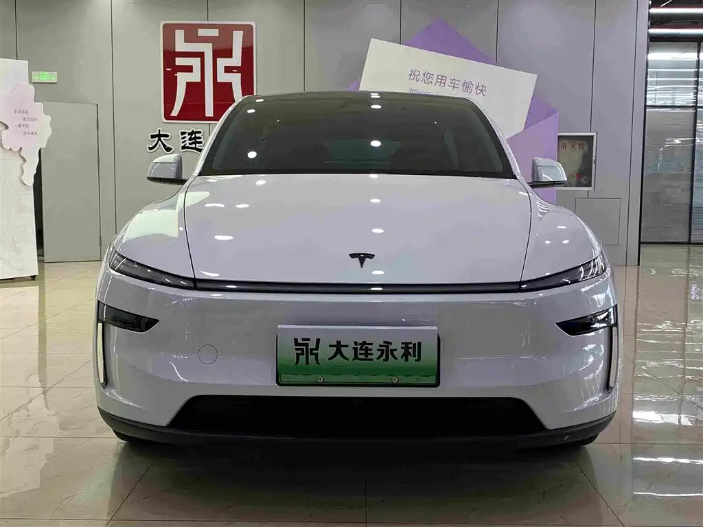 Tesla Model Y — фото 2