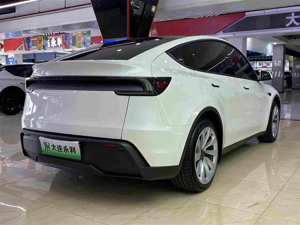 Tesla Model Y — фото 17
