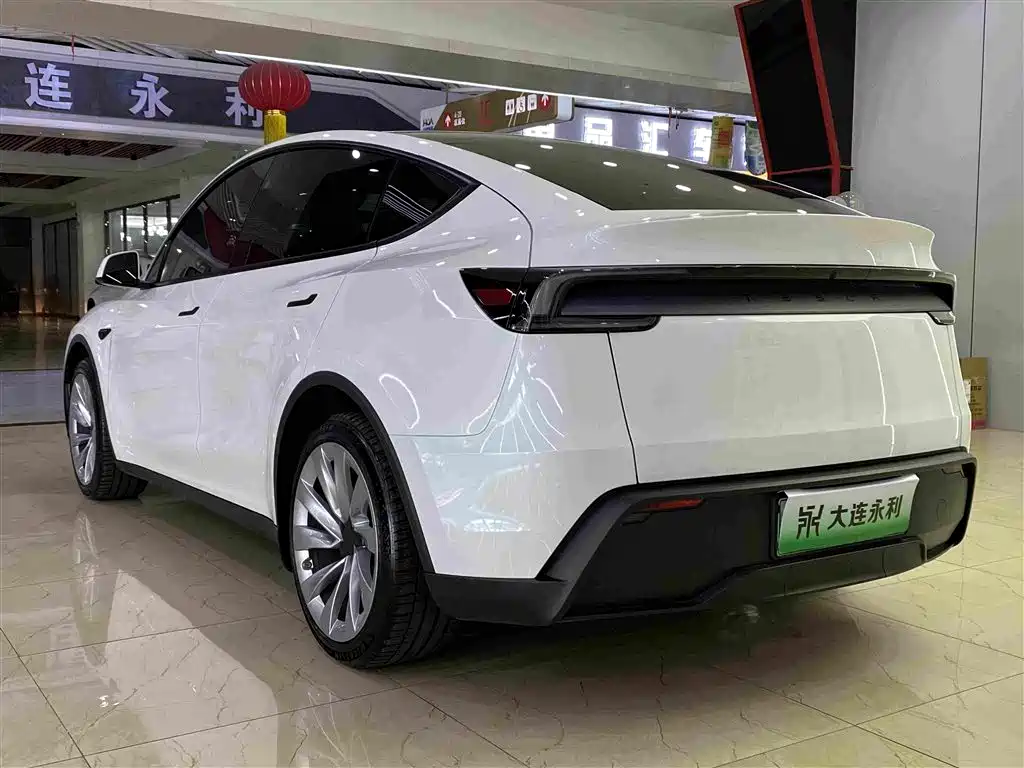 Tesla Model Y — фото 18