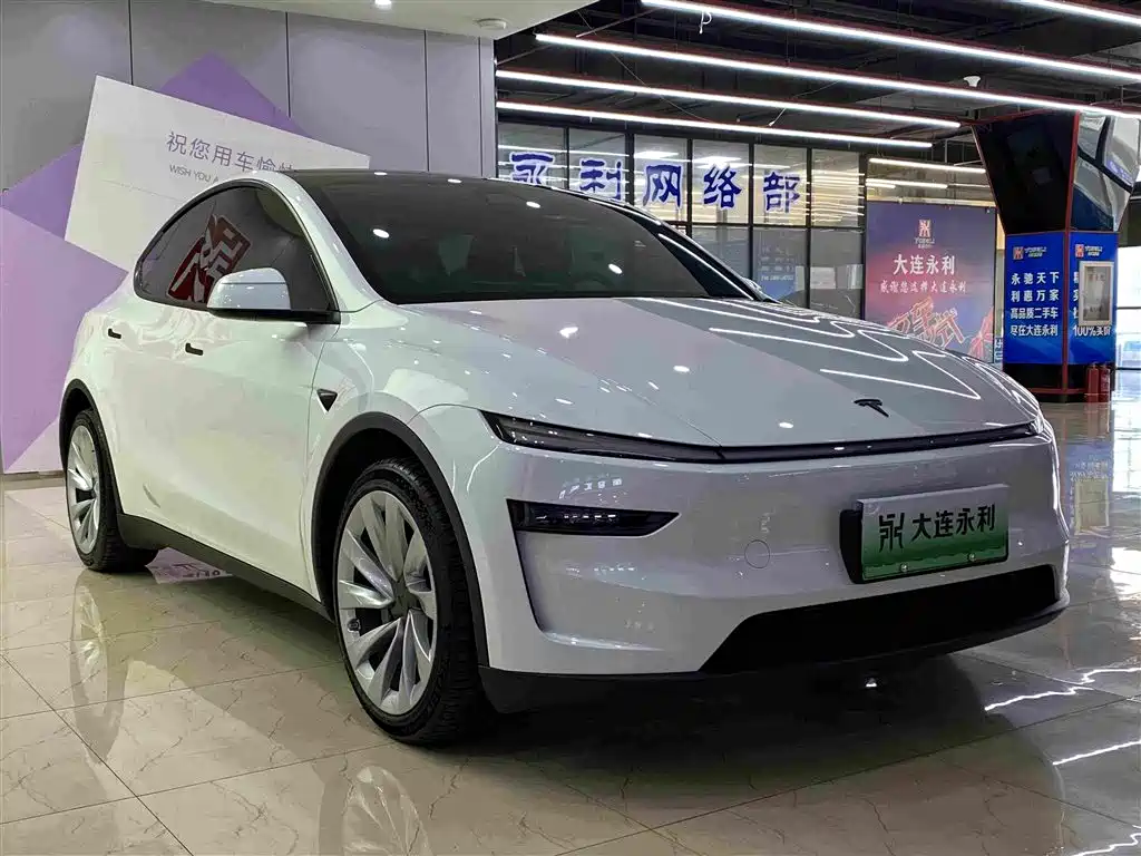 Tesla Model Y — фото 3
