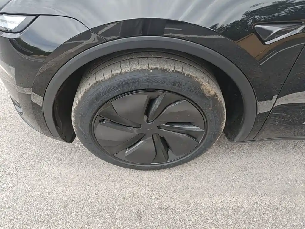 Tesla Model Y — фото 23
