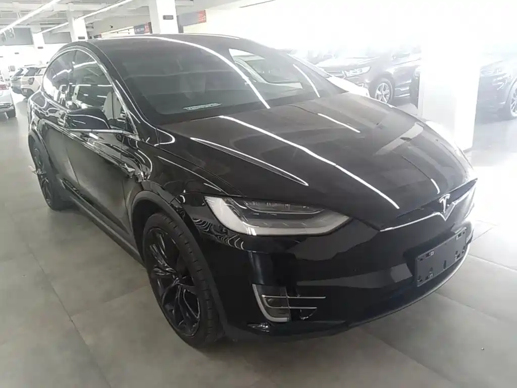 Tesla Model X — фото 22