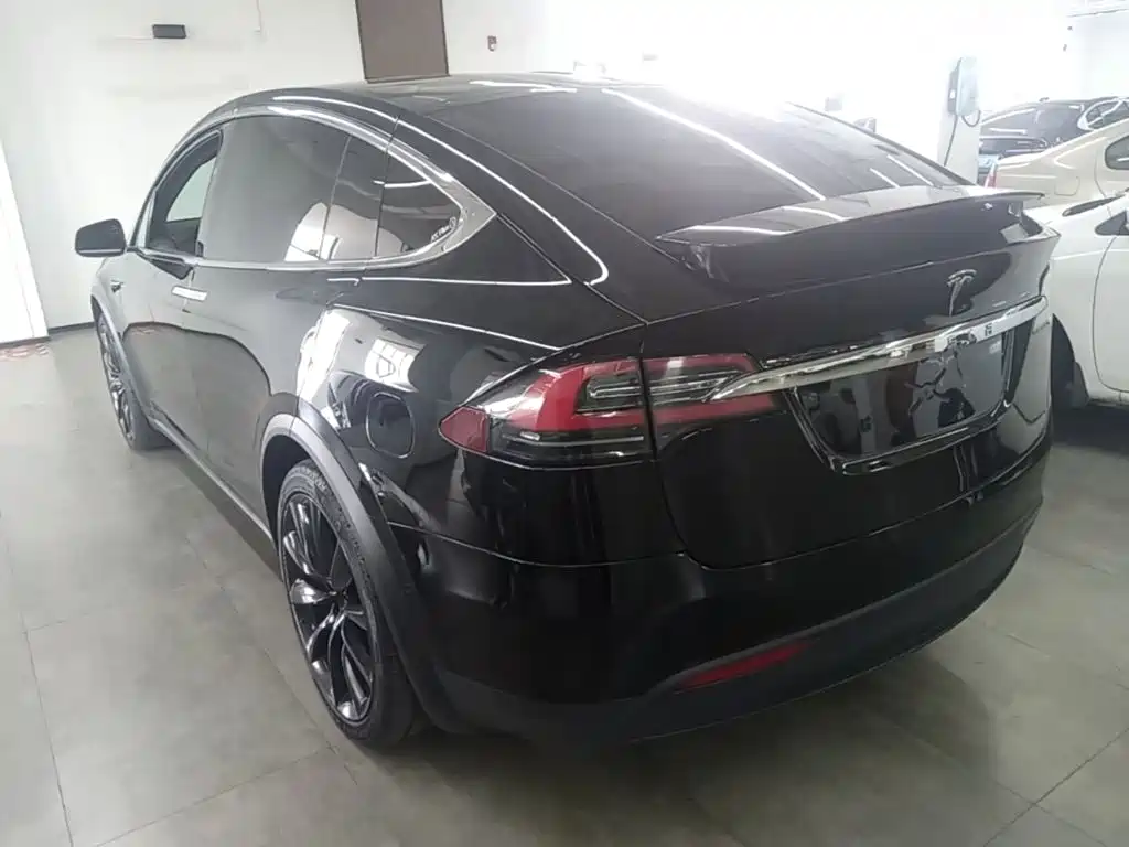Tesla Model X — фото 23