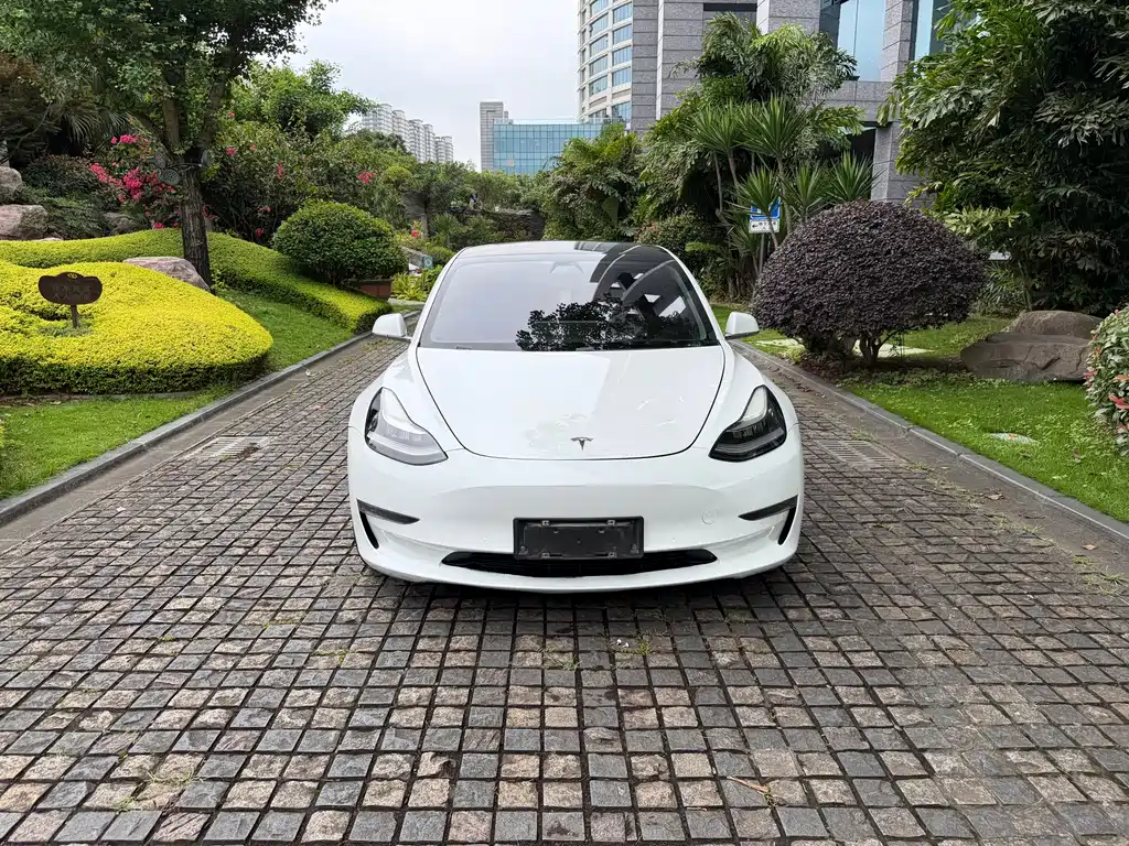 Tesla Model 3 — фото 2