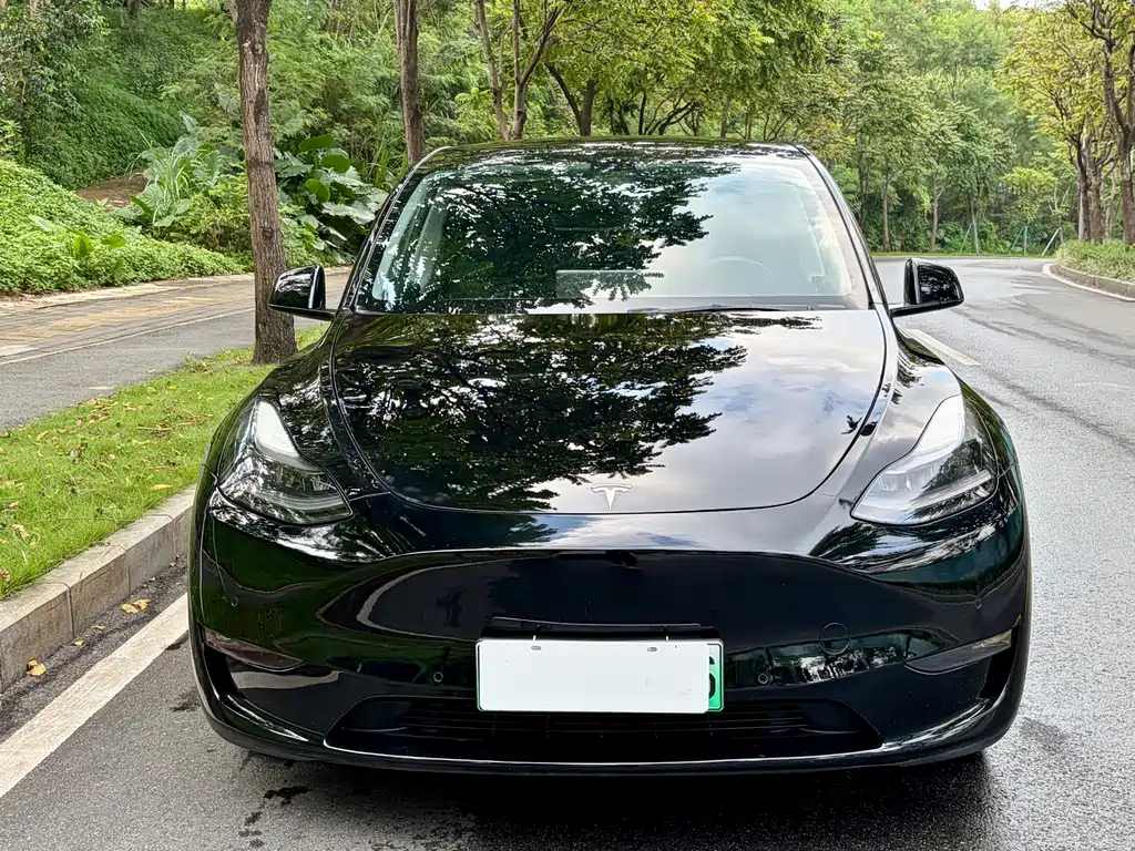 Tesla Model Y — фото 2