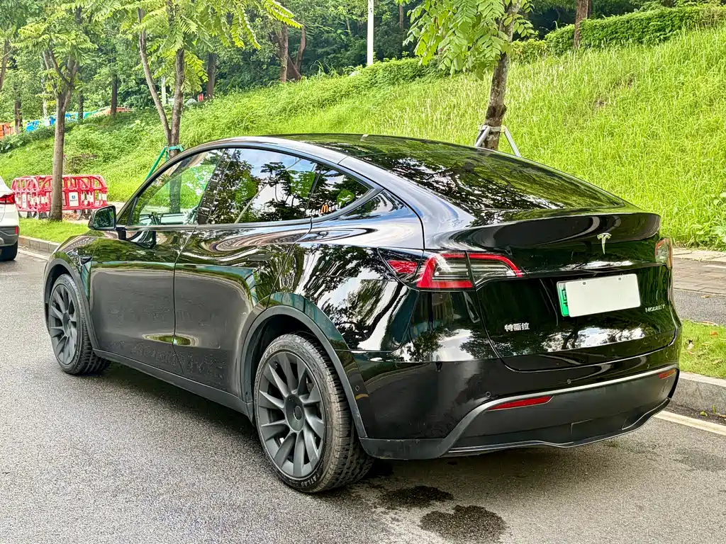 Tesla Model Y — фото 8