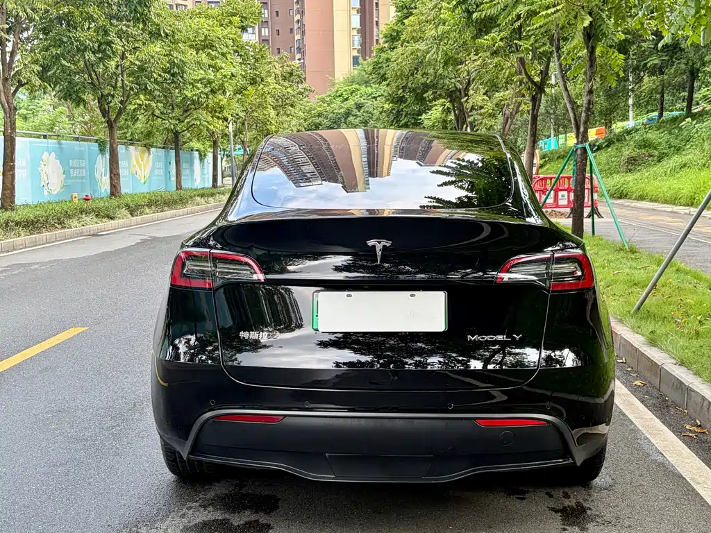 Tesla Model Y — фото 9