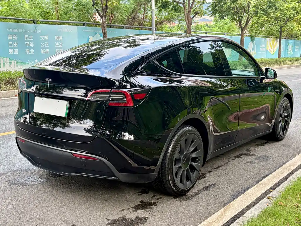 Tesla Model Y — фото 10