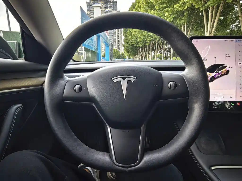 Tesla Model 3 — фото 15