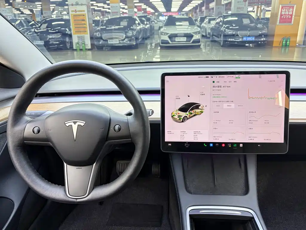 Tesla Model 3 — фото 6