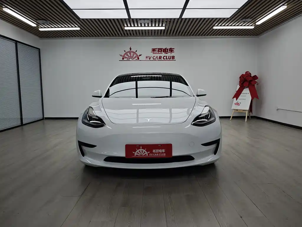 Tesla Model 3 — фото 2