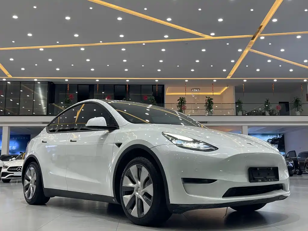 Tesla Model Y — фото 2
