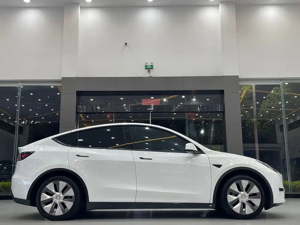 Tesla Model Y — фото 3