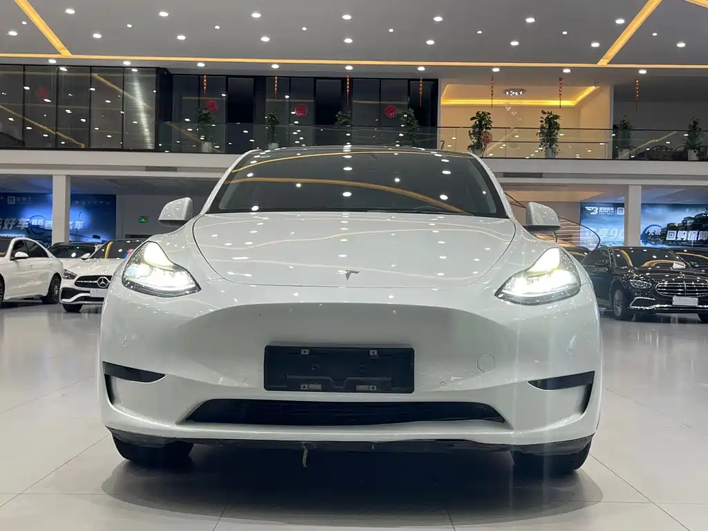 Tesla Model Y — фото 4