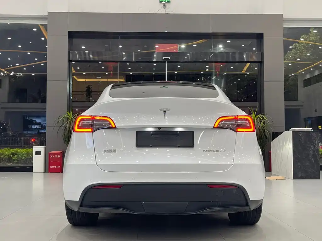 Tesla Model Y — фото 6