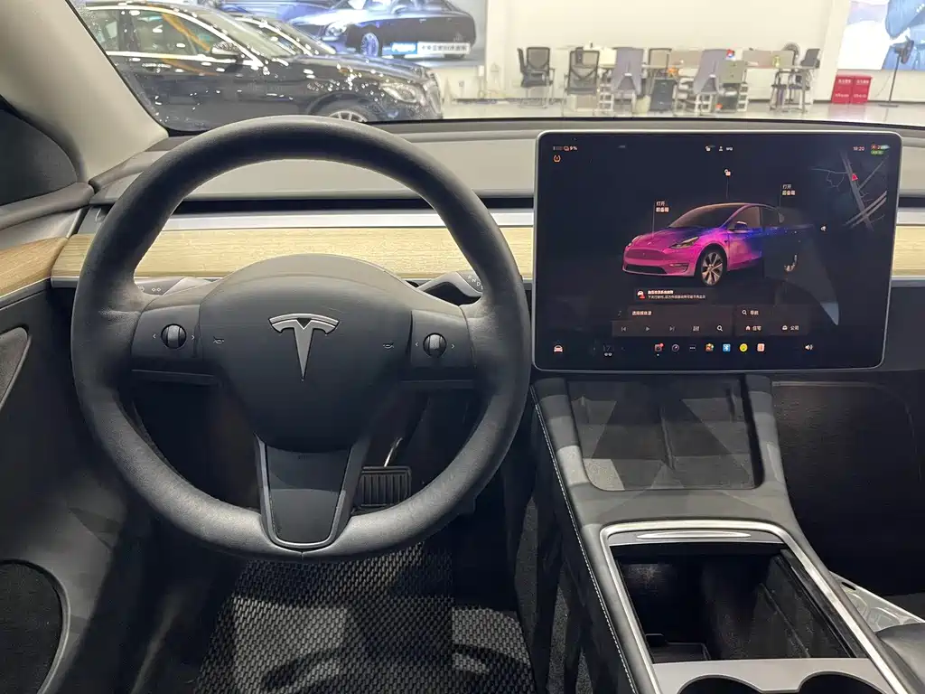 Tesla Model Y — фото 10