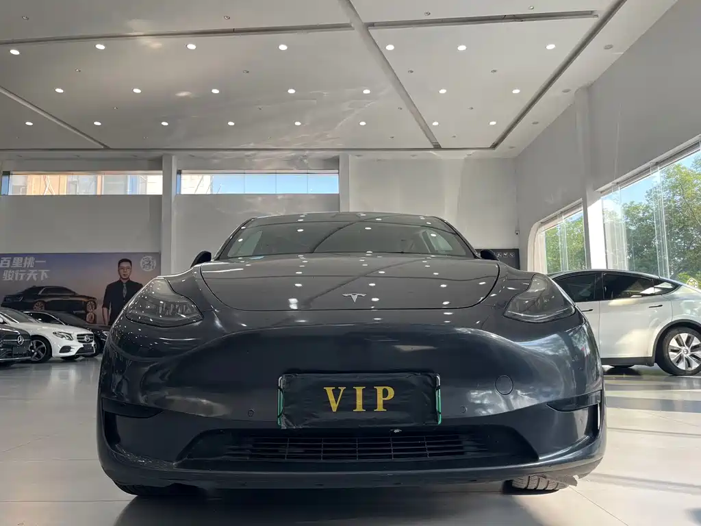 Tesla Model Y — фото 2
