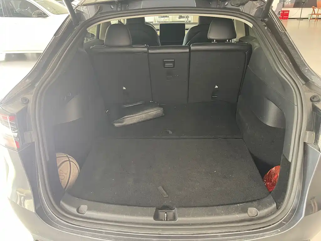 Tesla Model Y — фото 11