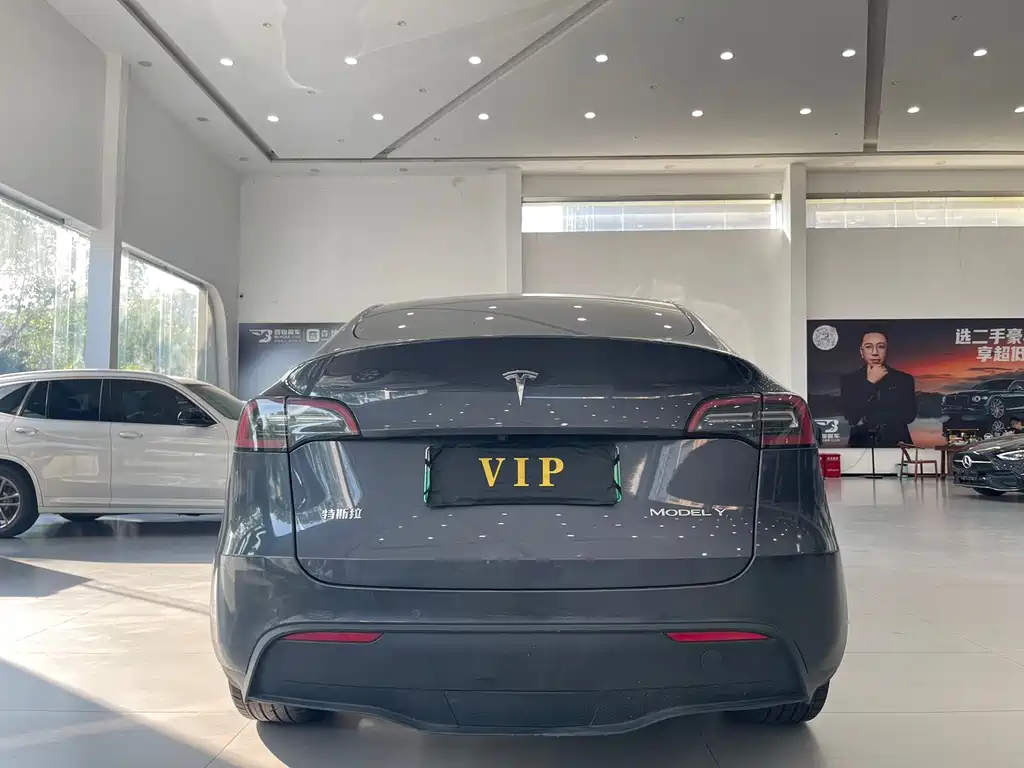 Tesla Model Y — фото 5