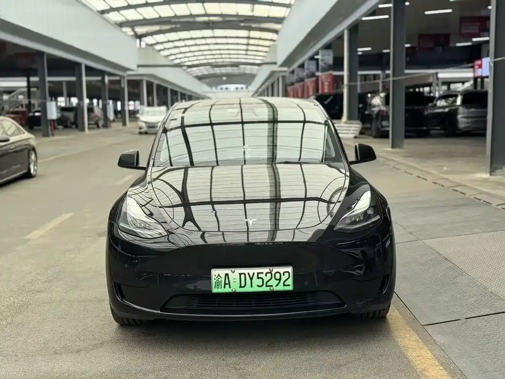 Tesla Model Y — фото 2